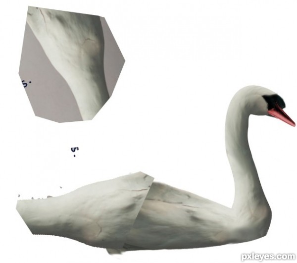 Creation of Swan: Step 5